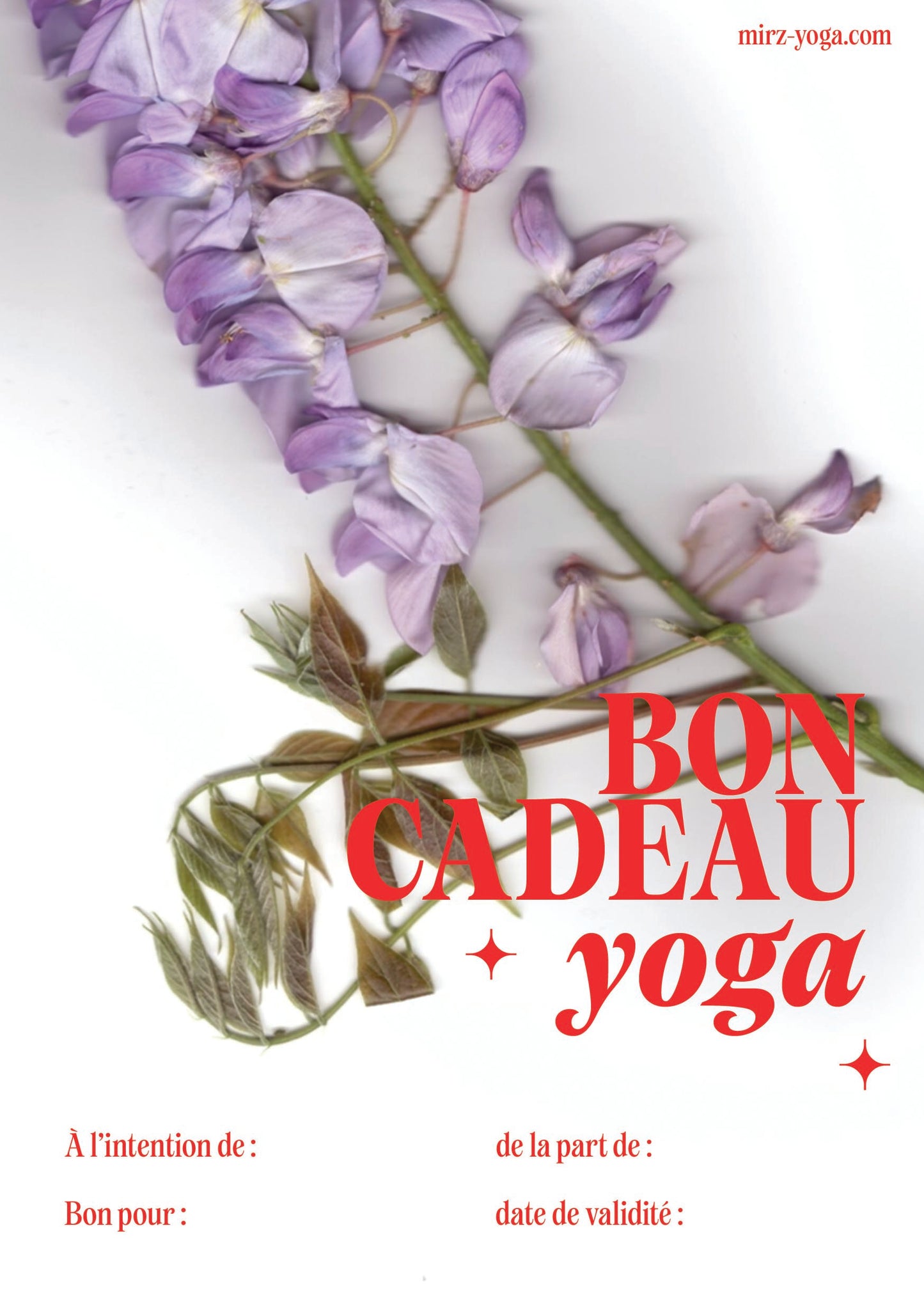 BON CADEAU - 1 COURS PARTICULIER À DIE (DRÔME), PARIS OU VISIO